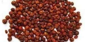 Malkangni Seeds