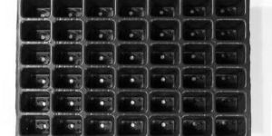 Seedling Trays