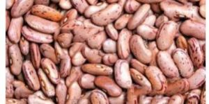 Kashmiri Red Kidney Bean