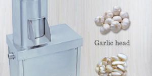 Garlic Peeling Machine