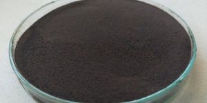Seaweed Extract Powder