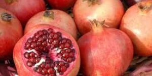 Fresh Pomegranate