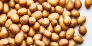 Fresh Potato