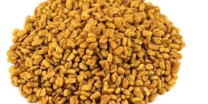 Fenugreek Seeds