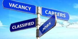 Placement Consultant