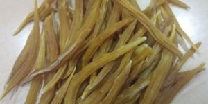 Shatavari Root