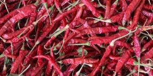 Teja Dry Red Chilli