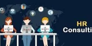 HR Consultant