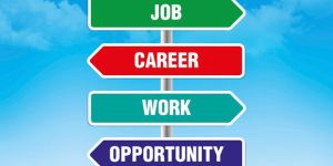 Placement Consultant