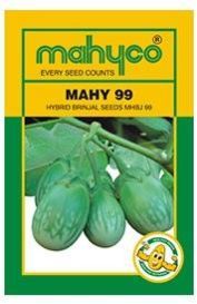 MAHY 99 (MHB 99) Hybrid Brinjal Seeds