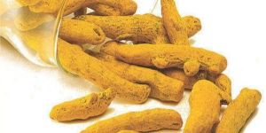 Raw Turmeric