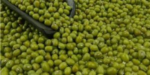 Moong Dal