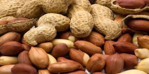 Shelled Peanuts