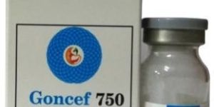 Goncef-S 750 Injection