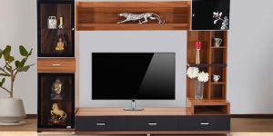 Contemporary TV Unit