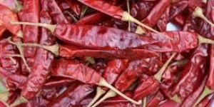 Dried Red Chilli