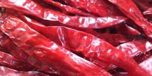 Indian Dried Red Chilli