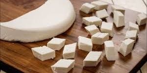 Milk Paneer