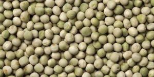 Dried Green Peas
