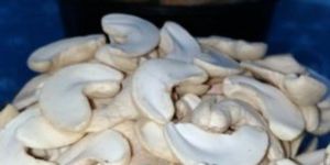 Cashew Nut