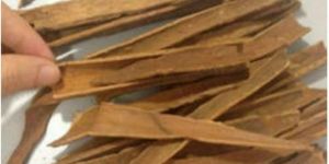 Dalchini (Cinnamon)