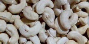 Cashew Nut