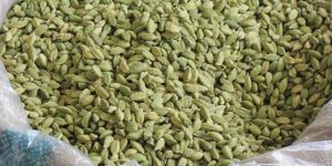 Cardamom