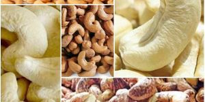 Cashew Kernels