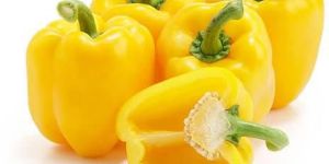 Fresh Yellow Capsicum