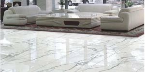 Polished Floor Tiles