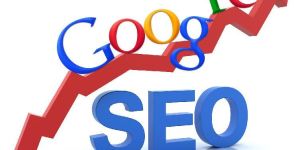 Search Engine Optimization Service