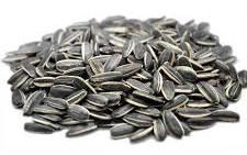 Sunflower Seeds