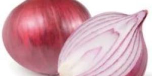 Fresh Red Onion
