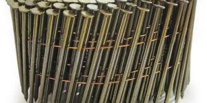 Common Coil Nail