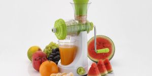 Fruit Juicer