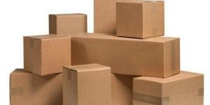 Paperboard Food Packaging Box