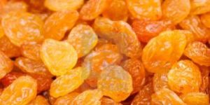 Golden Dried Raisins
