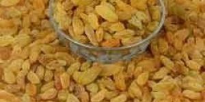 Organic Dried Raisins