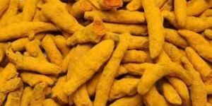 Organic Turmeric Finger