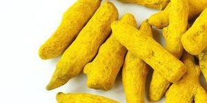 Polished Turmeric Finger
