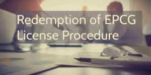 EPCG Licensing Services