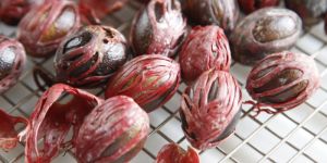 Raw Nutmeg