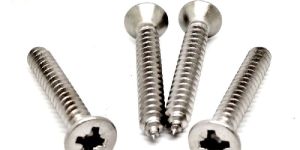 Stainless Steel Screws