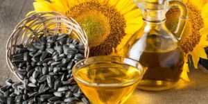 Sunflower Oil