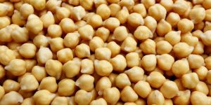 White Chickpeas
