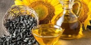 Sunflower Oil