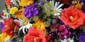 Fresh Flower