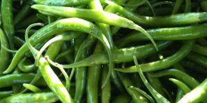 Fresh Natural Green Chilli