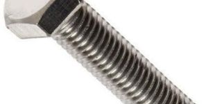 Stainless Steel Hex Bolt