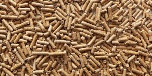 Wooden Pellet